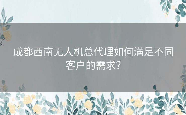 成都西南无人机总代理如何满足不同客户的需求？