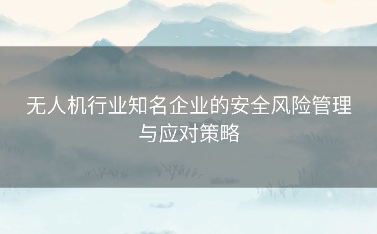 无人机行业知名企业的安全风险管理与应对策略