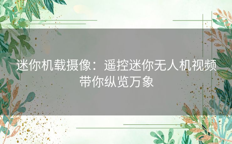 迷你机载摄像：遥控迷你无人机视频带你纵览万象