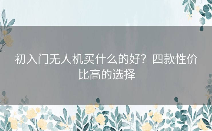 初入门无人机买什么的好？四款性价比高的选择