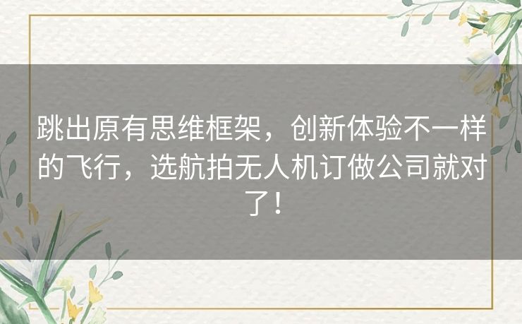 跳出原有思维框架，创新体验不一样的飞行，选航拍无人机订做公司就对了！