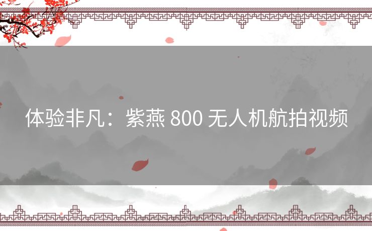 体验非凡：紫燕 800 无人机航拍视频