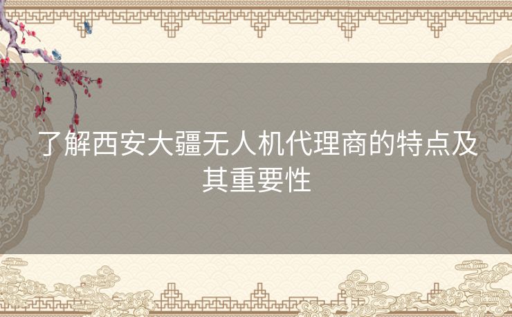 了解西安大疆无人机代理商的特点及其重要性