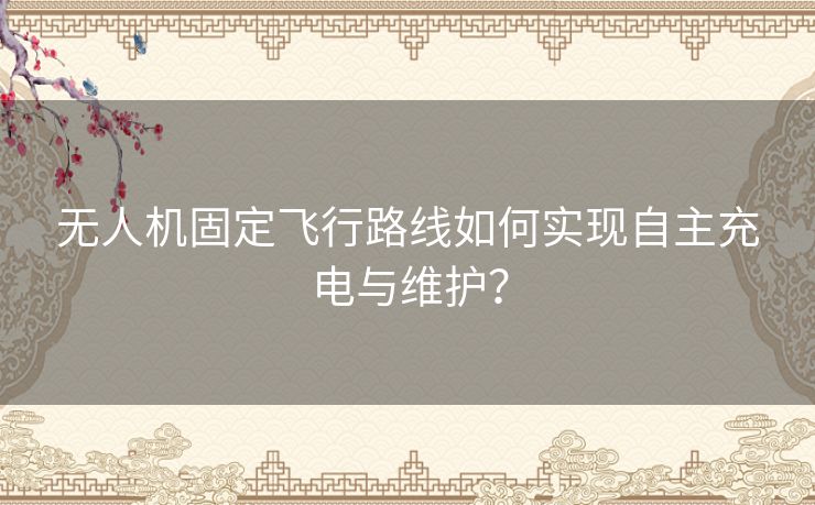 无人机固定飞行路线如何实现自主充电与维护？