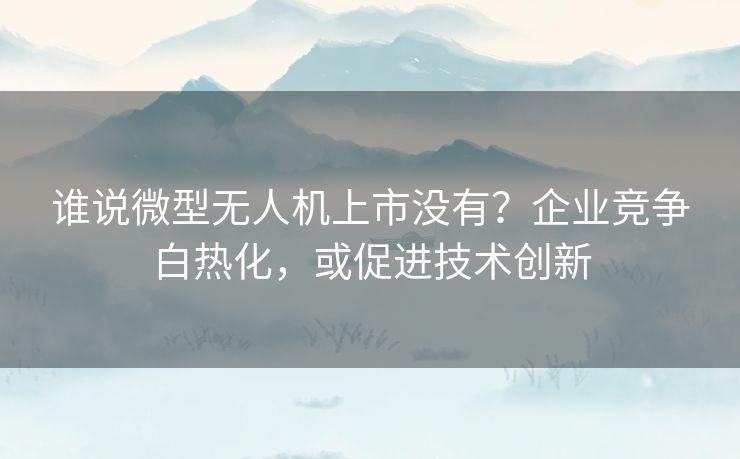 谁说微型无人机上市没有？企业竞争白热化，或促进技术创新