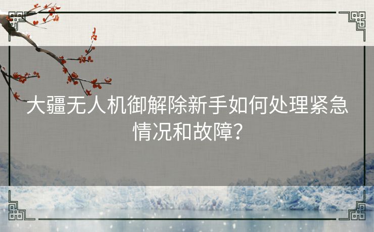 大疆无人机御解除新手如何处理紧急情况和故障？