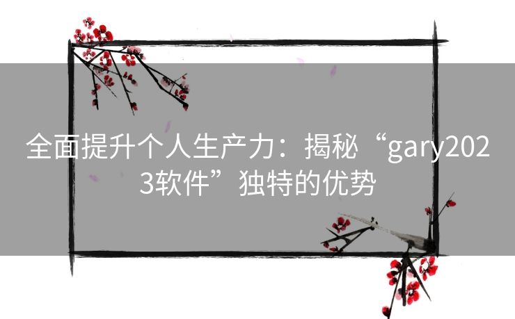 全面提升个人生产力：揭秘“gary2023软件”独特的优势