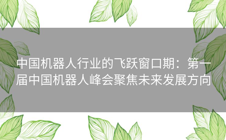 中国机器人行业的飞跃窗口期：第一届中国机器人峰会聚焦未来发展方向