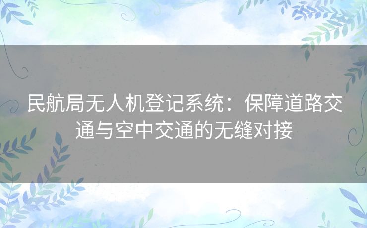 民航局无人机登记系统：保障道路交通与空中交通的无缝对接