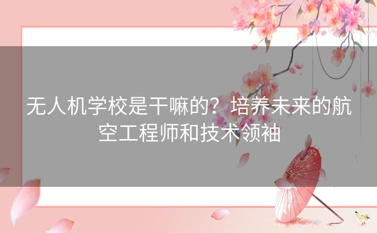 无人机学校是干嘛的？培养未来的航空工程师和技术领袖