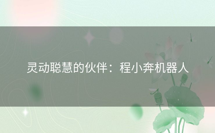 灵动聪慧的伙伴：程小奔机器人