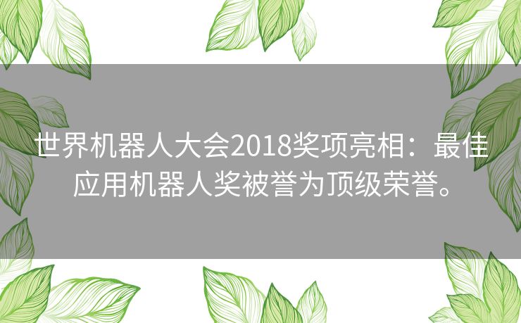 世界机器人大会2018奖项亮相：最佳应用机器人奖被誉为顶级荣誉。