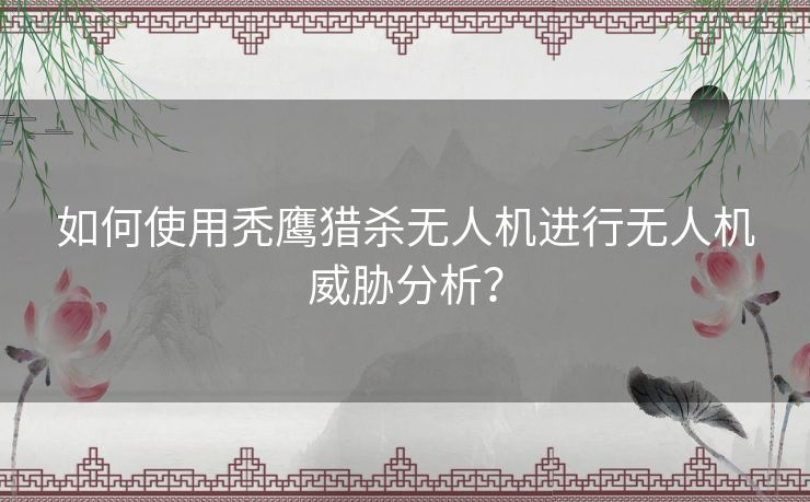 如何使用秃鹰猎杀无人机进行无人机威胁分析？