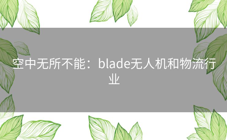 空中无所不能：blade无人机和物流行业