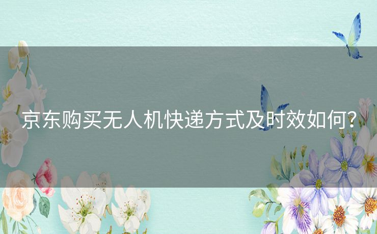 京东购买无人机快递方式及时效如何？