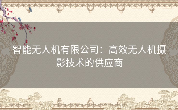 智能无人机有限公司：高效无人机摄影技术的供应商