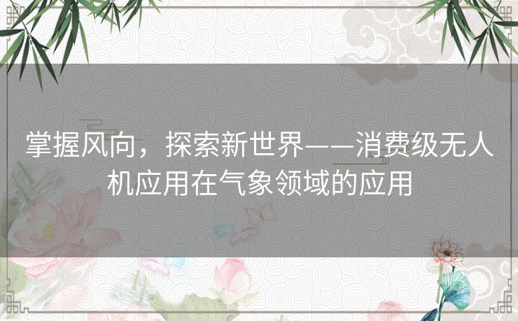 掌握风向，探索新世界——消费级无人机应用在气象领域的应用