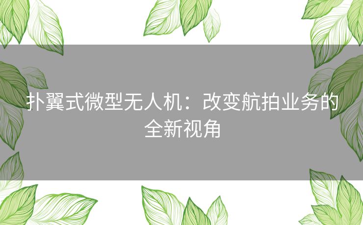 扑翼式微型无人机：改变航拍业务的全新视角