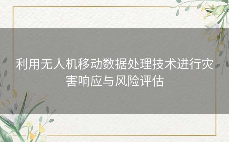 利用无人机移动数据处理技术进行灾害响应与风险评估