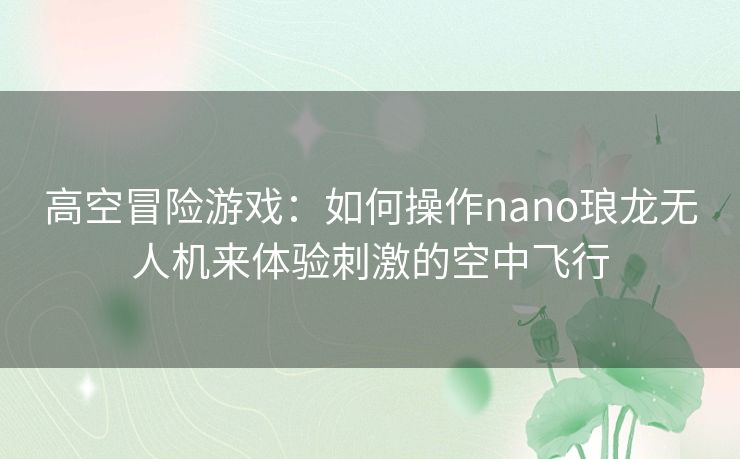 高空冒险游戏：如何操作nano琅龙无人机来体验刺激的空中飞行