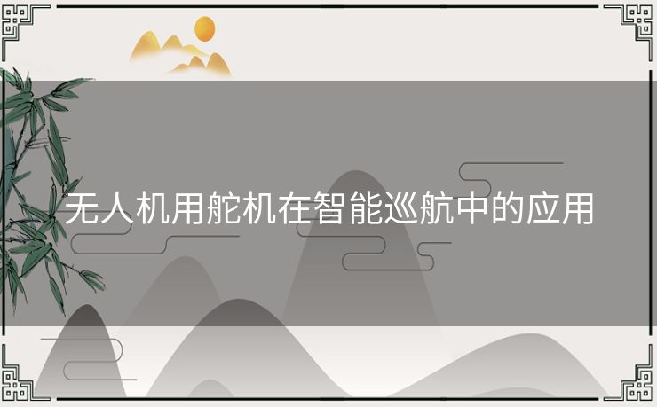 无人机用舵机在智能巡航中的应用