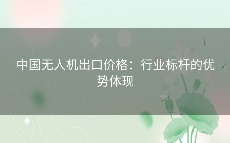 中国无人机出口价格：行业标杆的优势体现