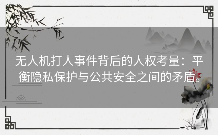 无人机打人事件背后的人权考量：平衡隐私保护与公共安全之间的矛盾。