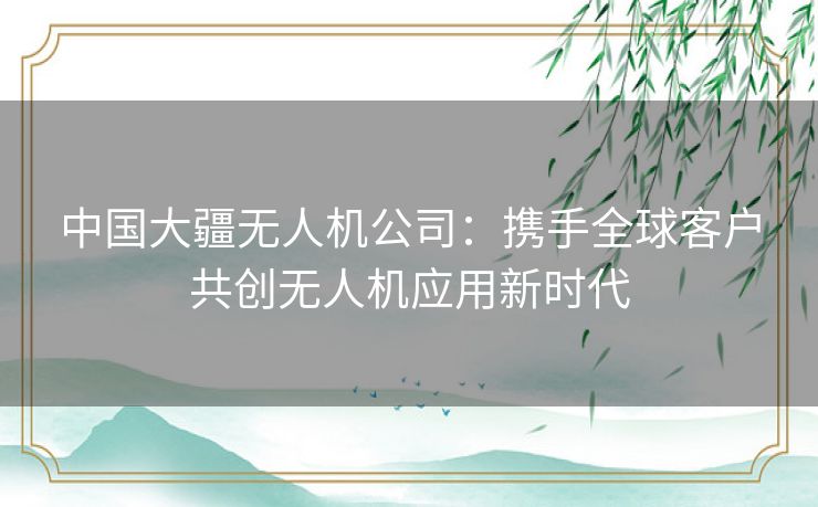 中国大疆无人机公司：携手全球客户共创无人机应用新时代