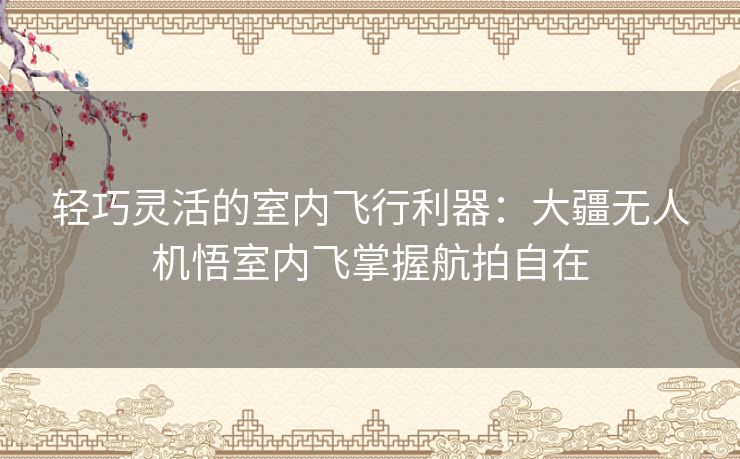 轻巧灵活的室内飞行利器：大疆无人机悟室内飞掌握航拍自在