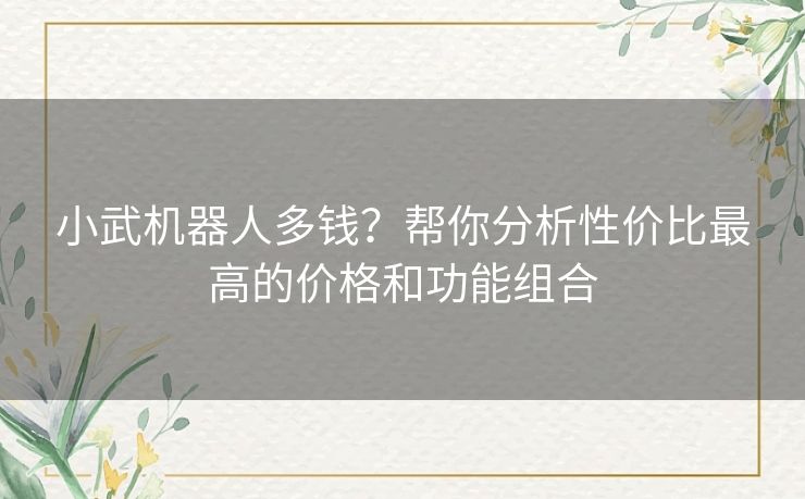 小武机器人多钱？帮你分析性价比最高的价格和功能组合