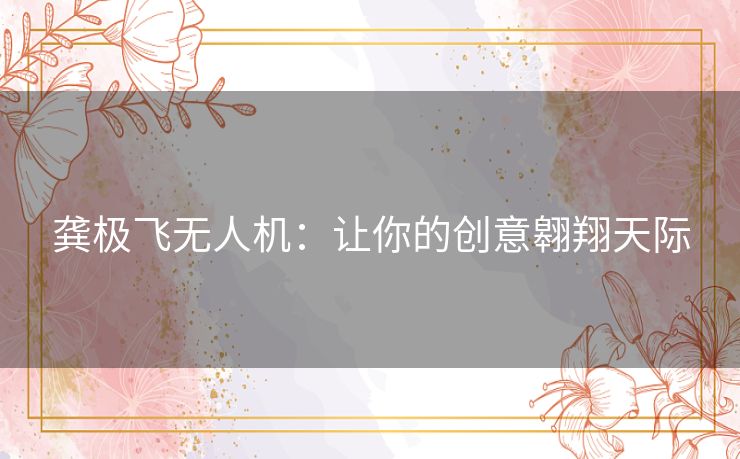 龚极飞无人机：让你的创意翱翔天际