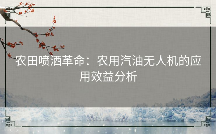 农田喷洒革命：农用汽油无人机的应用效益分析