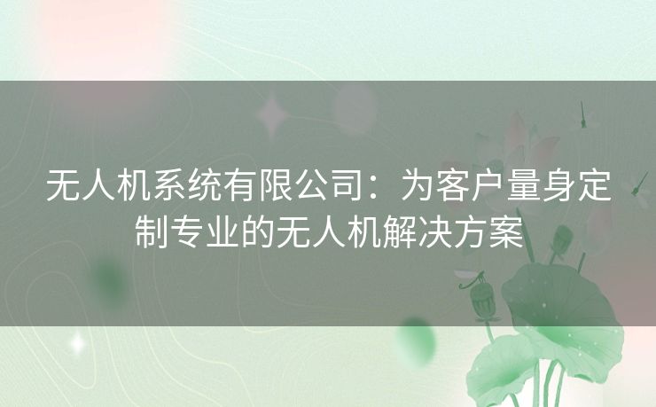 无人机系统有限公司：为客户量身定制专业的无人机解决方案