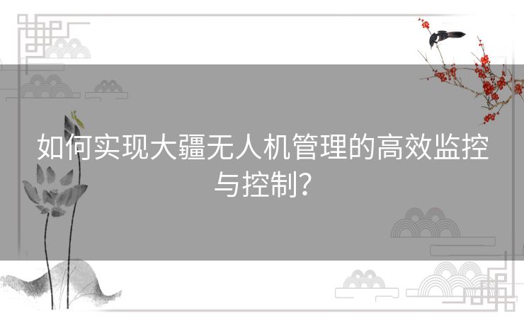 如何实现大疆无人机管理的高效监控与控制？