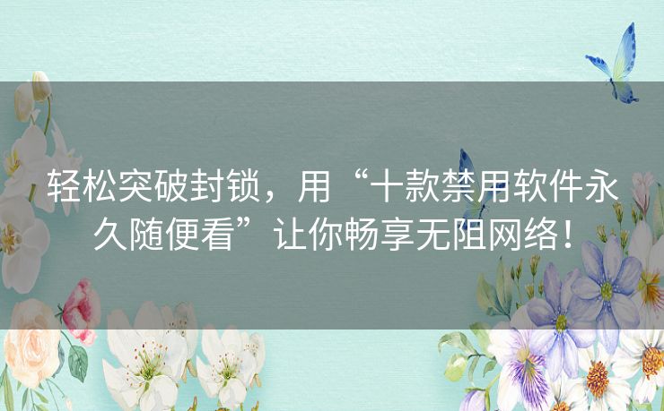 轻松突破封锁，用“十款禁用软件永久随便看”让你畅享无阻网络！