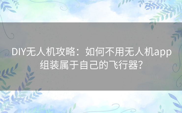 DIY无人机攻略：如何不用无人机app组装属于自己的飞行器？