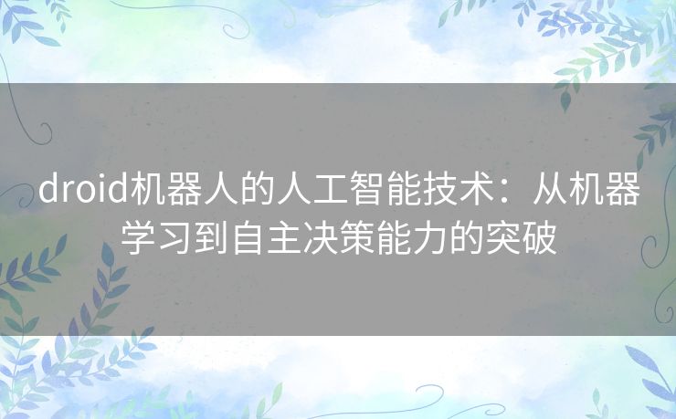 droid机器人的人工智能技术：从机器学习到自主决策能力的突破