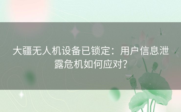 大疆无人机设备已锁定：用户信息泄露危机如何应对？