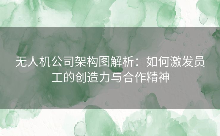 无人机公司架构图解析：如何激发员工的创造力与合作精神