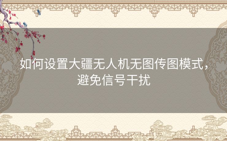 如何设置大疆无人机无图传图模式，避免信号干扰