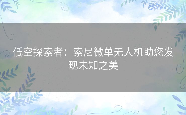 低空探索者：索尼微单无人机助您发现未知之美