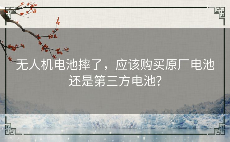 无人机电池摔了，应该购买原厂电池还是第三方电池？