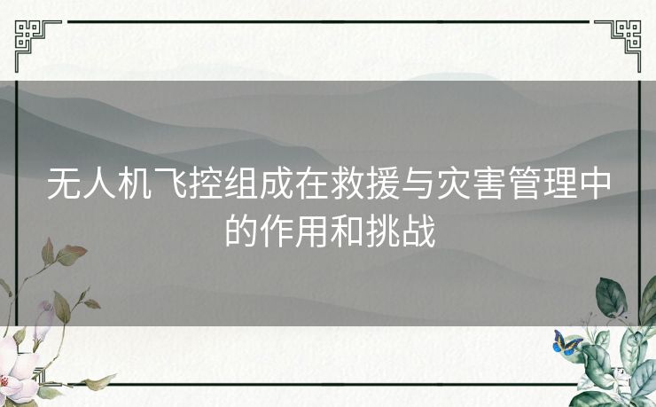 无人机飞控组成在救援与灾害管理中的作用和挑战