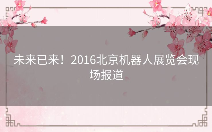 未来已来！2016北京机器人展览会现场报道