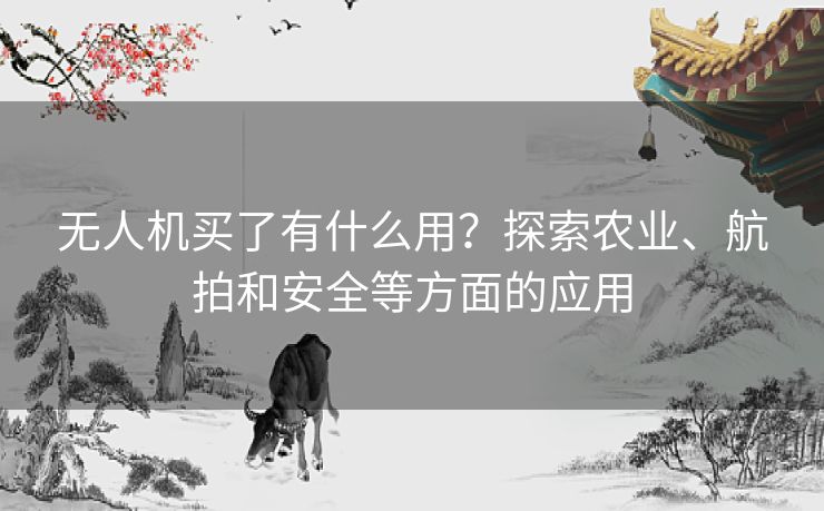 无人机买了有什么用？探索农业、航拍和安全等方面的应用