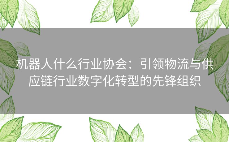 机器人什么行业协会：引领物流与供应链行业数字化转型的先锋组织