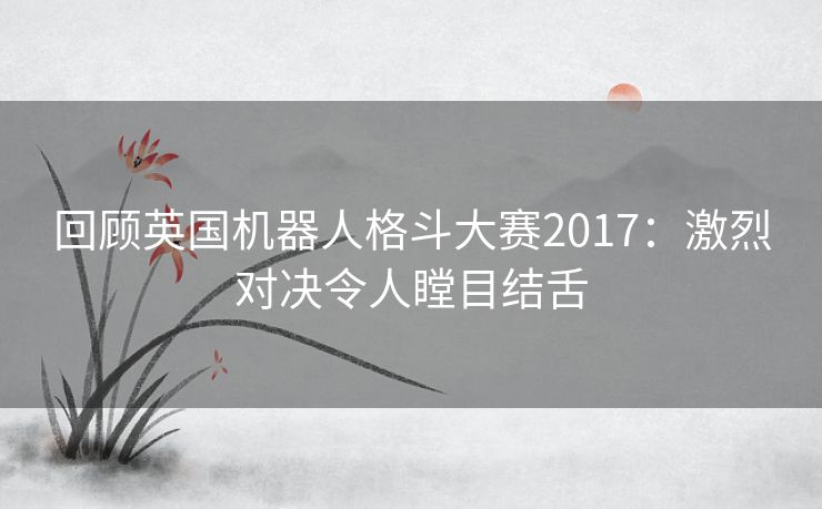 回顾英国机器人格斗大赛2017：激烈对决令人瞠目结舌