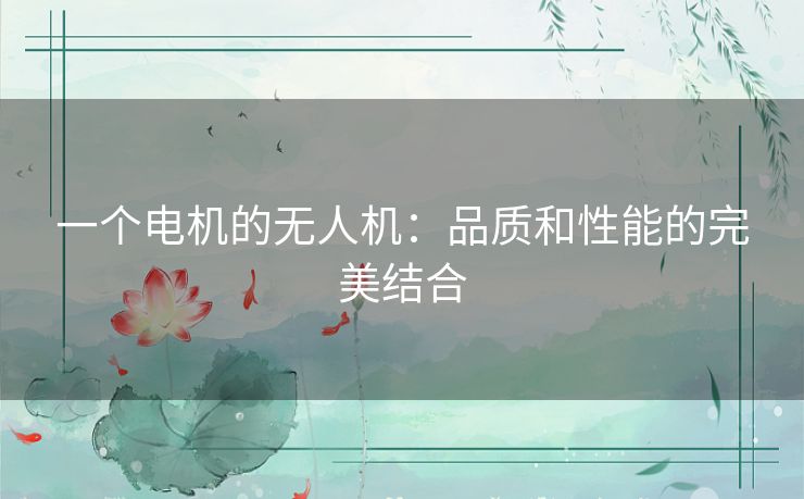 一个电机的无人机：品质和性能的完美结合