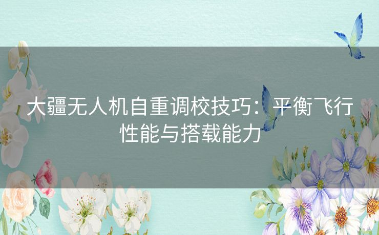 大疆无人机自重调校技巧：平衡飞行性能与搭载能力