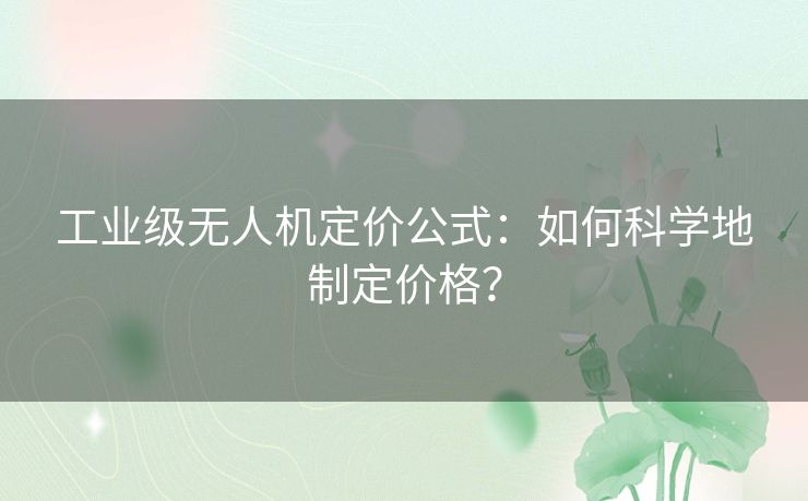 工业级无人机定价公式：如何科学地制定价格？